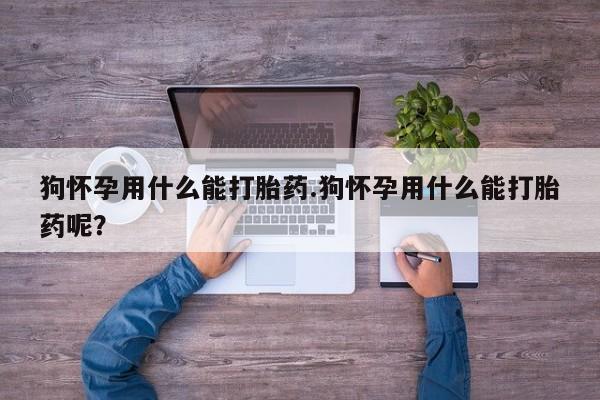 网上米索前列醇在线购买，狗怀孕用什么能打胎药.狗怀孕用什么能打胎药呢？