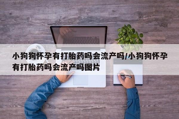 网上米索前列醇在线购买，小狗狗怀孕有打胎药吗会流产吗/小狗狗怀孕有打胎药吗会流产吗图片